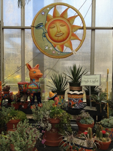 sun and succulents at Bob's Gardening Center in Cardiff, NJ