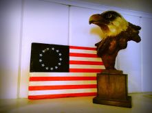 Flag eagle 13