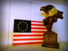 Flag eagle 13